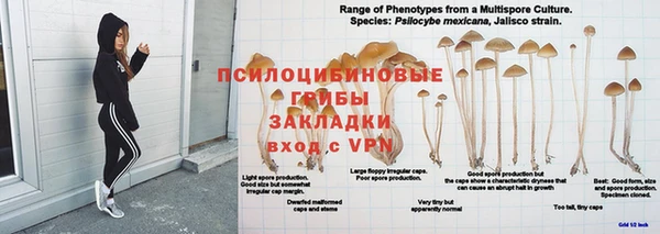 амф Костерёво