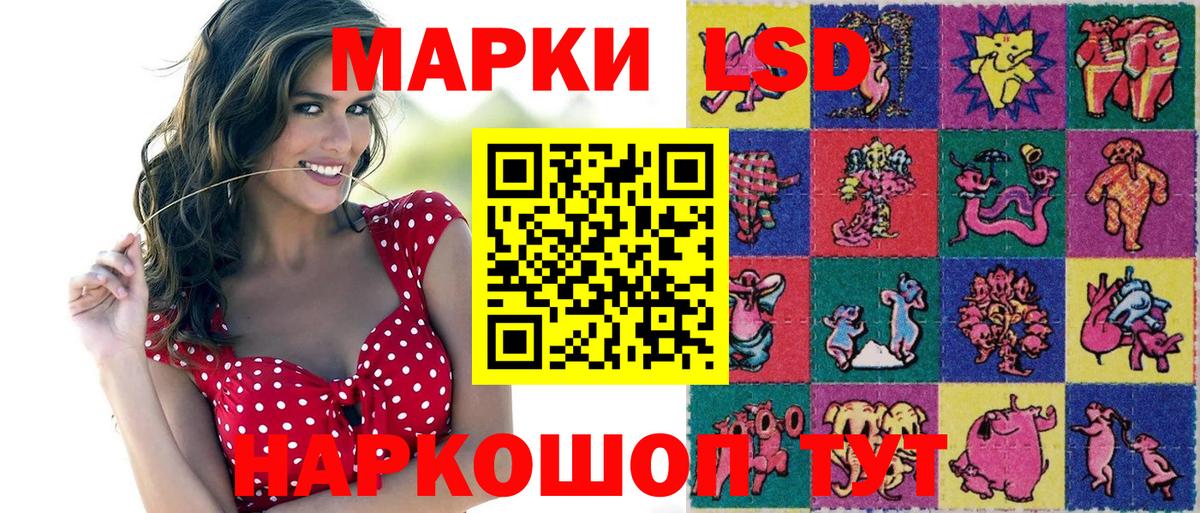 МЕФ Конаково